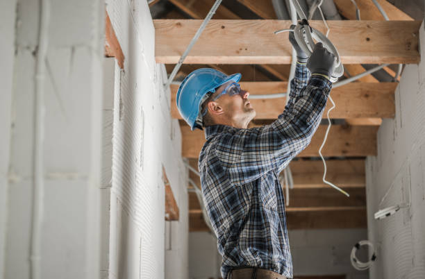Best Licensed Electrician  in Mendon, IL
