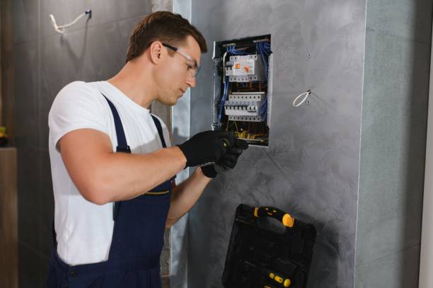 Best Ceiling Fan Installation Electrician  in Mendon, IL