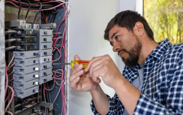 Best Local Electrician Companies  in Mendon, IL